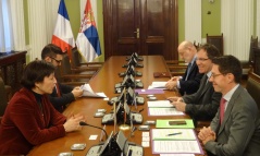 6 February 2017 Head of the PFG with France Natasa Vuckovic and the members of the French National Assembly 